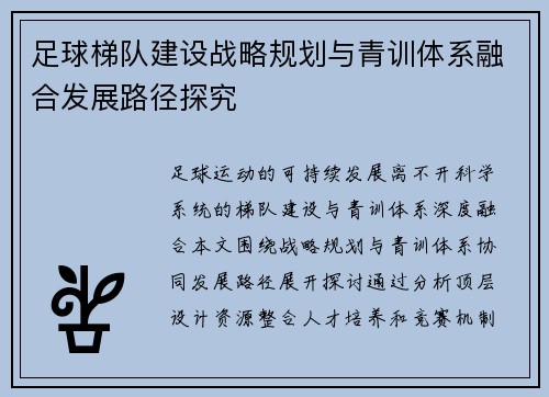 足球梯队建设战略规划与青训体系融合发展路径探究